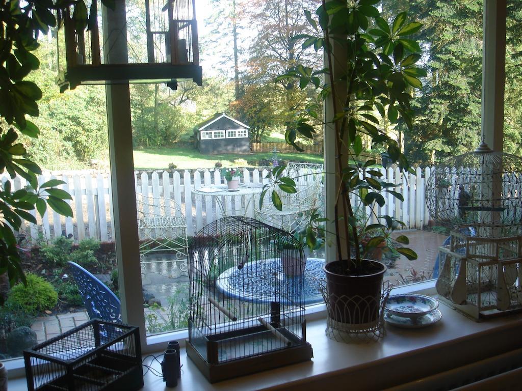 סטל Littlebank Country House מראה חיצוני תמונה